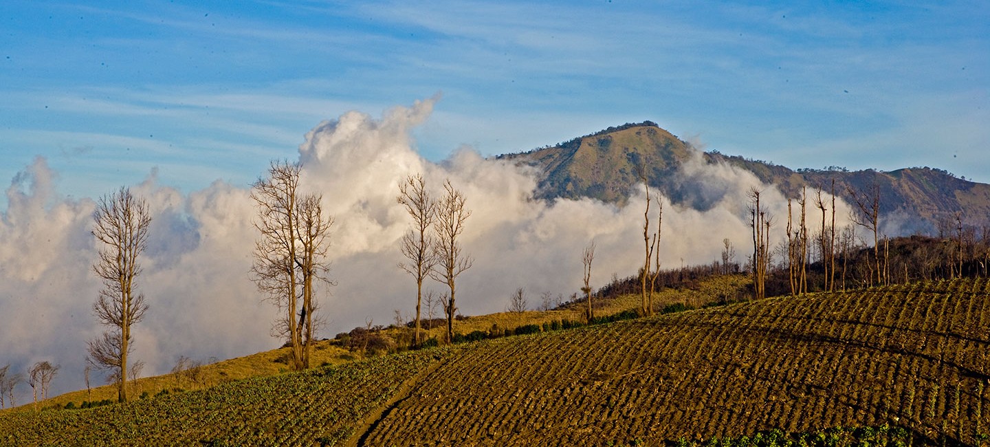 bromo activities slide 2