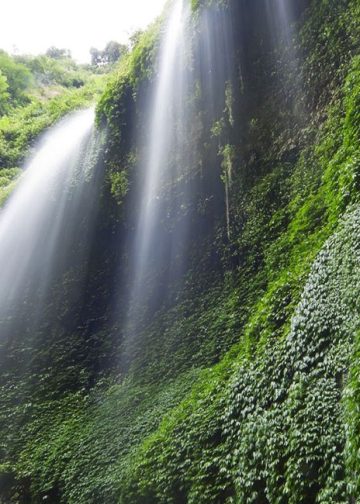 Tim Pengabdian Masyarakat FITB ITB melakukan penanaman pohon di Kawasan Gunung Bromo 